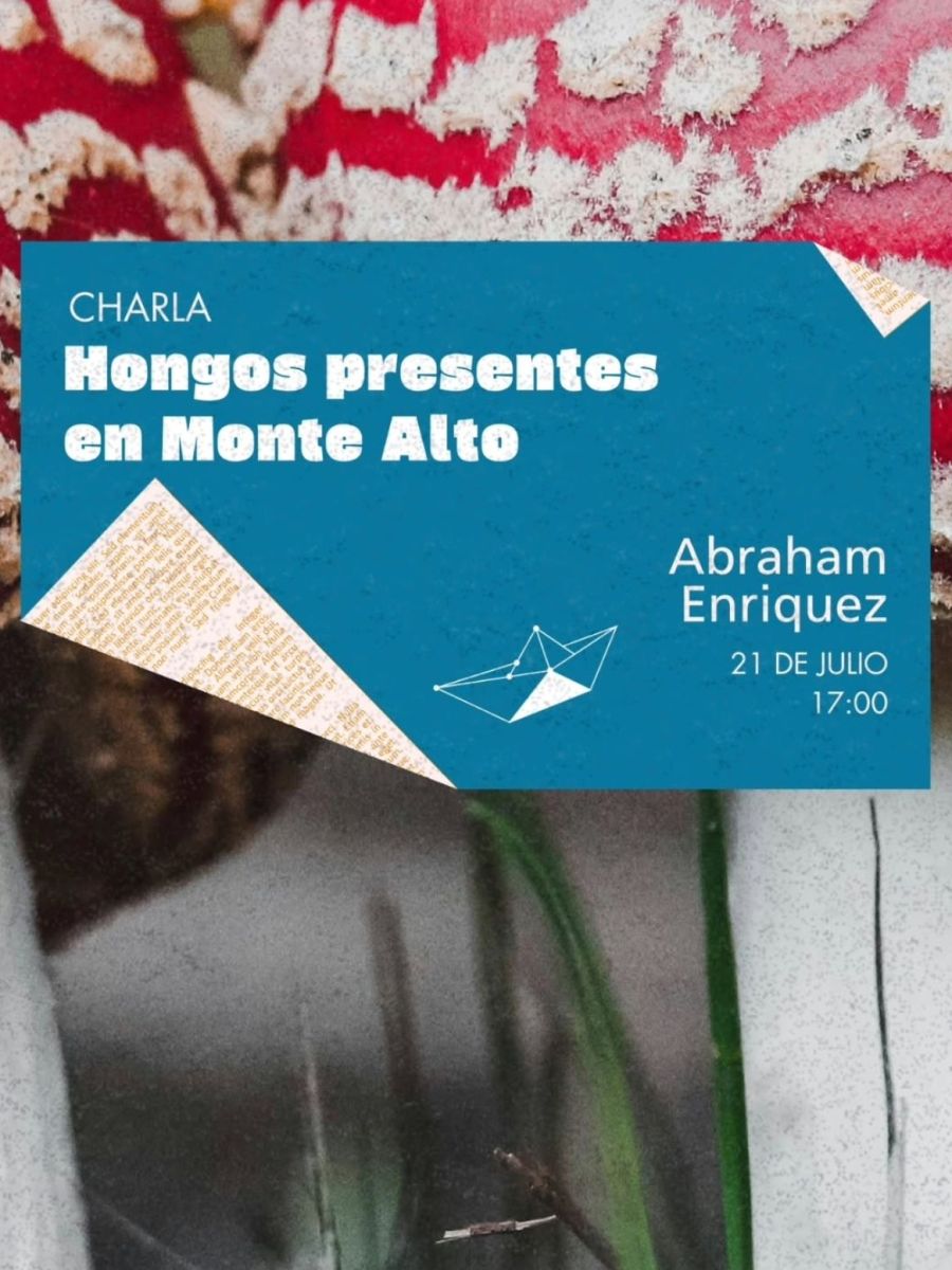 Hongos presentes en Monte&nbsp;Alto